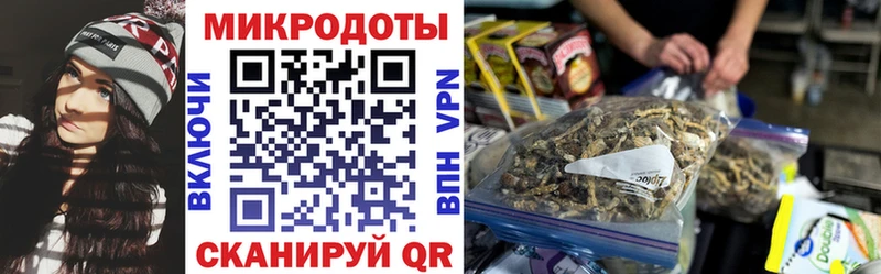 купить наркотики сайты  Мелеуз  Псилоцибиновые грибы Psilocybe 